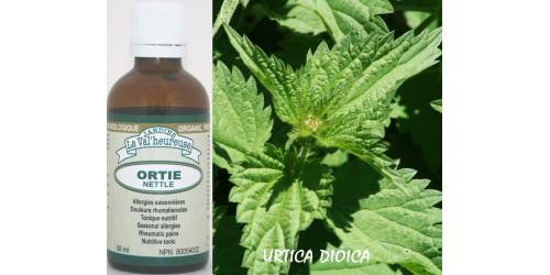 NETTLE, Organic fresh extract, (Tincture),  Urtica dioica   